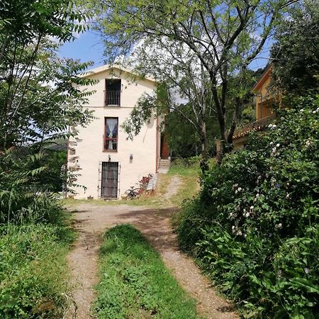 Ferula Romantica Mansarda Tra Fiumi E Montagne Sardegna Seulo ภายนอก รูปภาพ