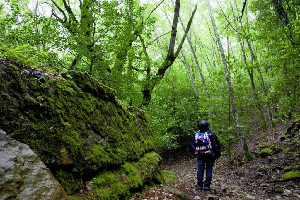 Ferula Romantica Mansarda Tra Fiumi E Montagne Sardegna Seulo ภายนอก รูปภาพ