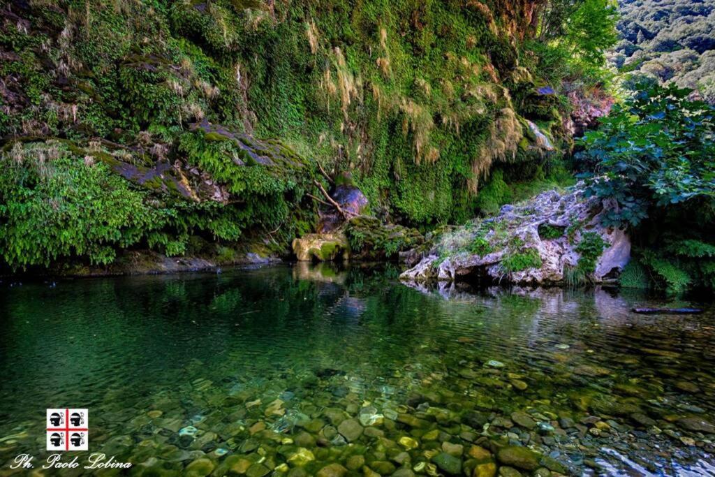 Ferula Romantica Mansarda Tra Fiumi E Montagne Sardegna Seulo ภายนอก รูปภาพ